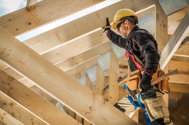 Best Roof Gutter Cleaning  in Macdonnell Heights, NY